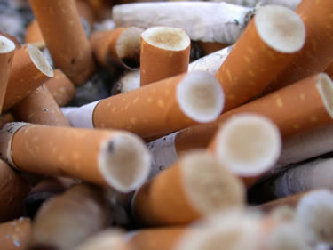 cigarette butts